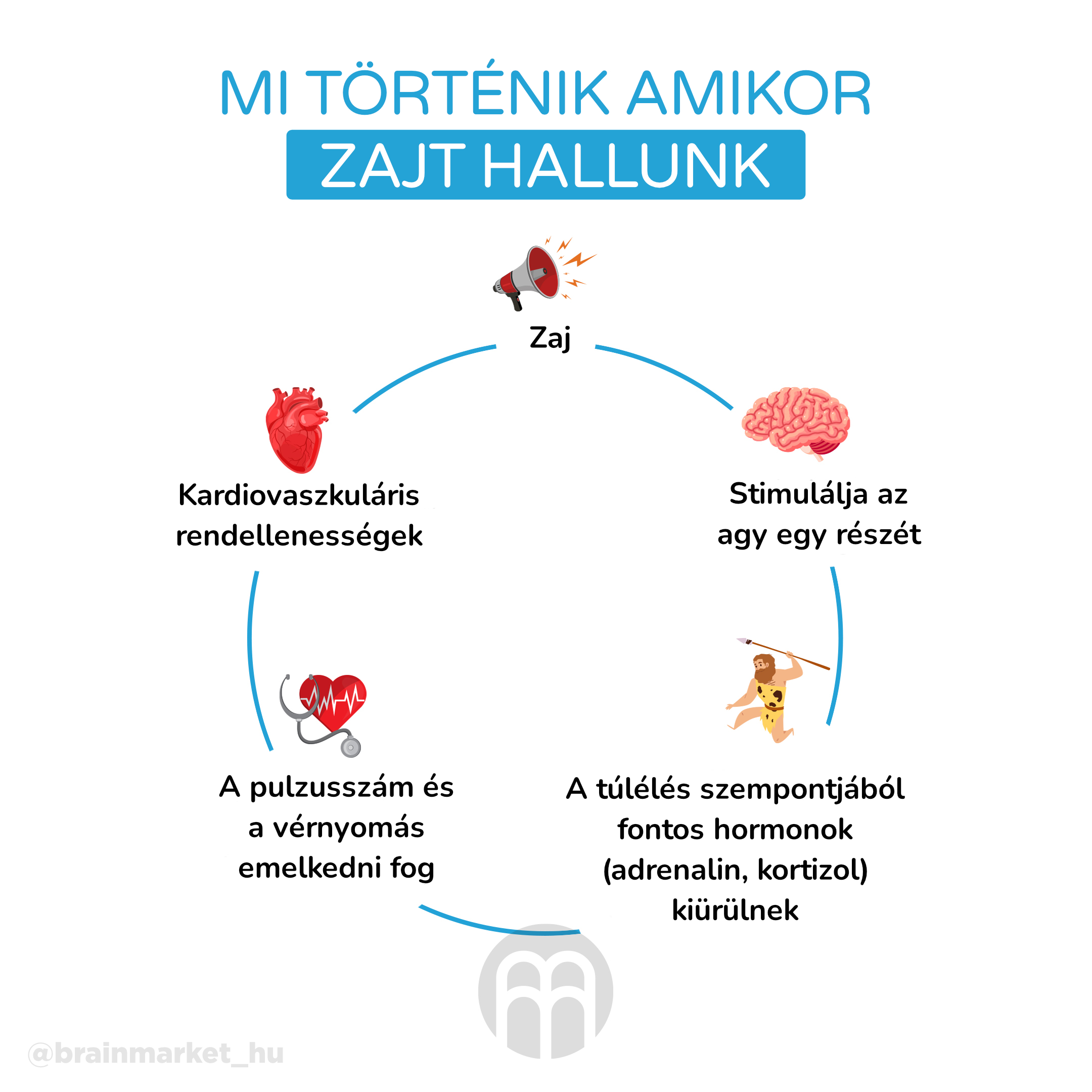 Co se deje,kdyz zaslechneme hluk_infografika_hu